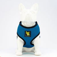 EcoBark Teal Dog Harness - Over-the-Head Soft Mesh Dog Vest Halter for Small to Medium Dogs and Puppies - BIG FRENCHIES