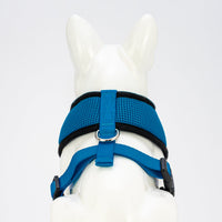 EcoBark Teal Dog Harness - Over-the-Head Soft Mesh Dog Vest Halter for Small to Medium Dogs and Puppies - BIG FRENCHIES