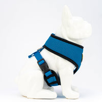 EcoBark Teal Dog Harness - Over-the-Head Soft Mesh Dog Vest Halter for Small to Medium Dogs and Puppies - BIG FRENCHIES