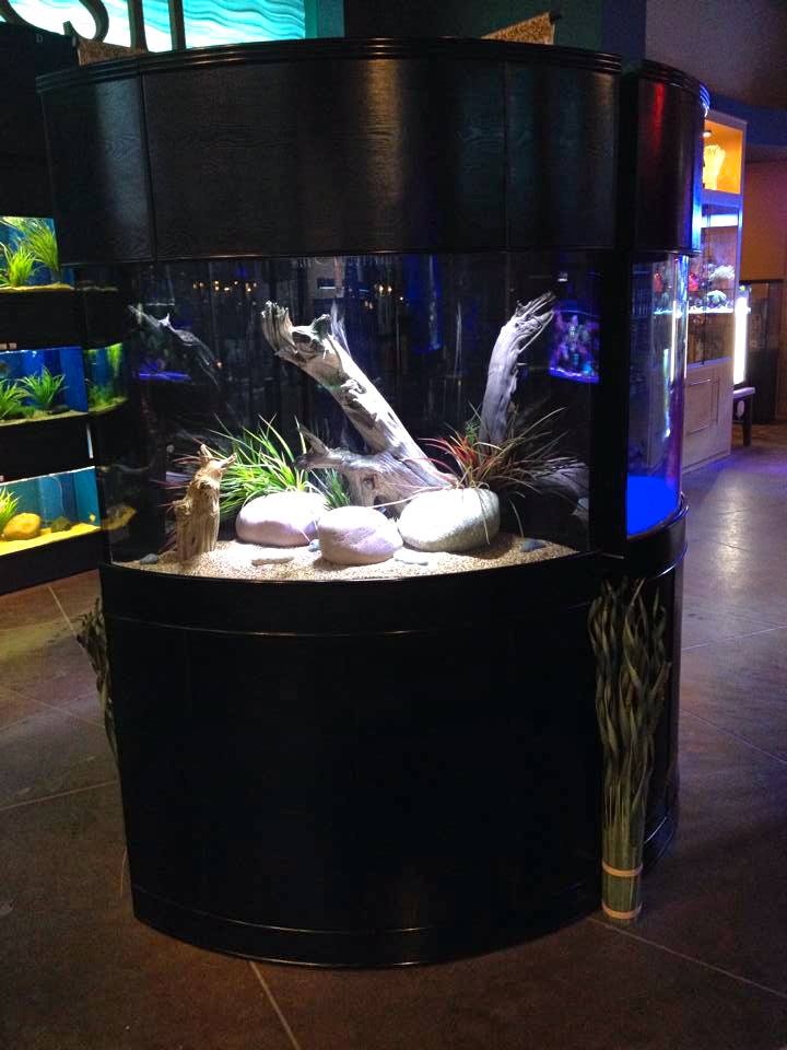 90g Corner 1/4 Cylinder Reef-Ready Aquarium Set in White