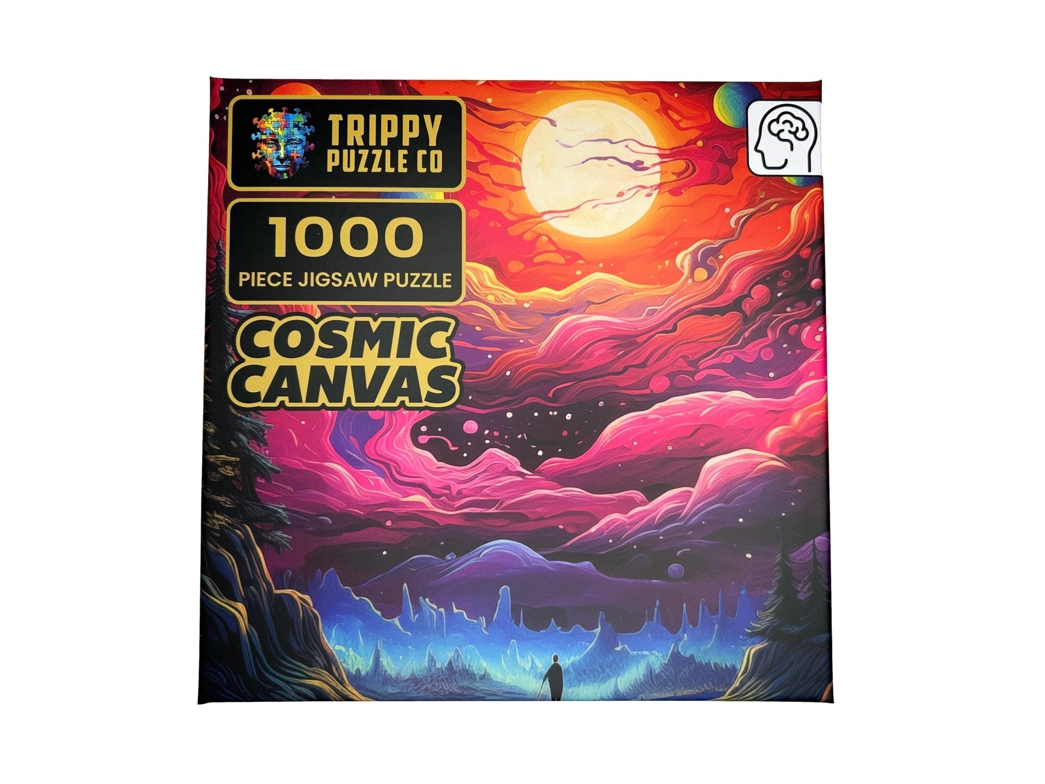 Cosmic Canvas 1000 Piece Jigsaw Puzzle | Trippy Puzzle Co