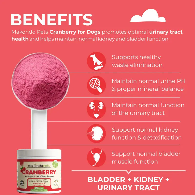 Cranberry for Dogs. Urinary Tract Support. 100 Scoops - BIG FRENCHIES