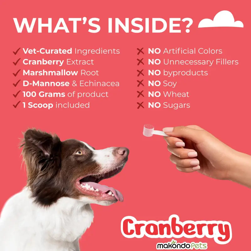 Cranberry for Dogs. Urinary Tract Support. 100 Scoops - BIG FRENCHIES