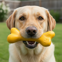 PUP-X Rubber Bone Dog Toy - Durable, Floats, Chew Toy for Large Dogs | USA - BIG FRENCHIES