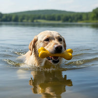 PUP-X Rubber Bone Dog Toy - Durable, Floats, Chew Toy for Large Dogs | USA - BIG FRENCHIES