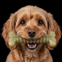 Tough Bone Nylon Chew Bone | Ultra-Durable Dog Toy for Aggressive Chewers | SodaPup - BIG FRENCHIES