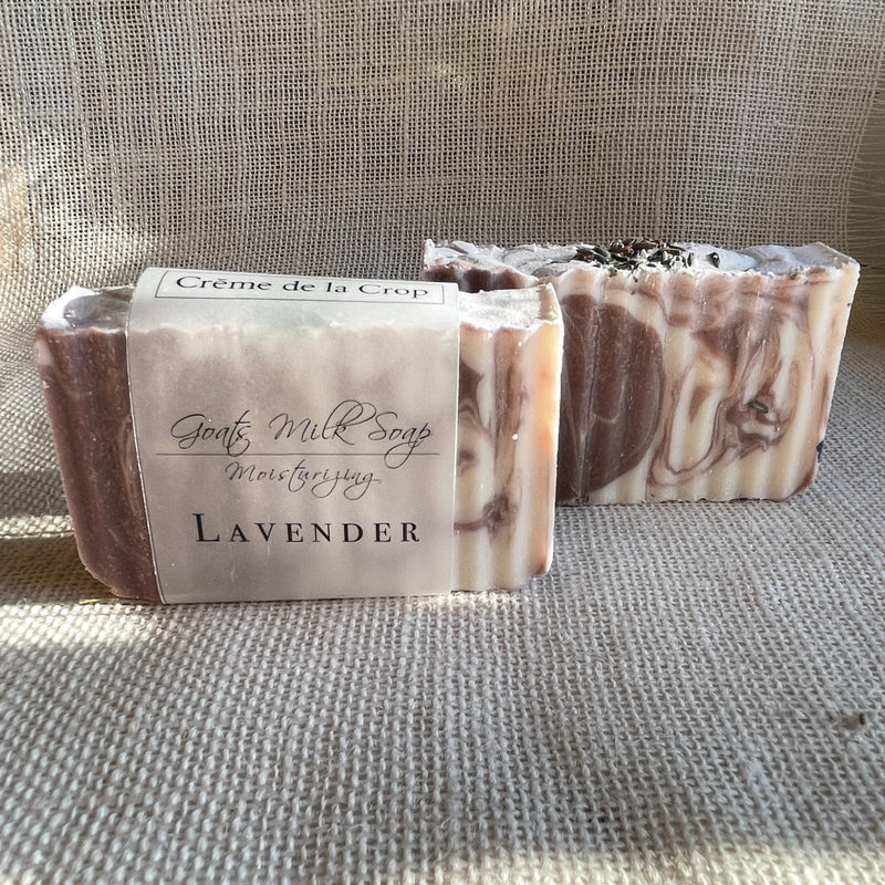 Goats Milk Soap - Lavender - BIG FRENCHIES