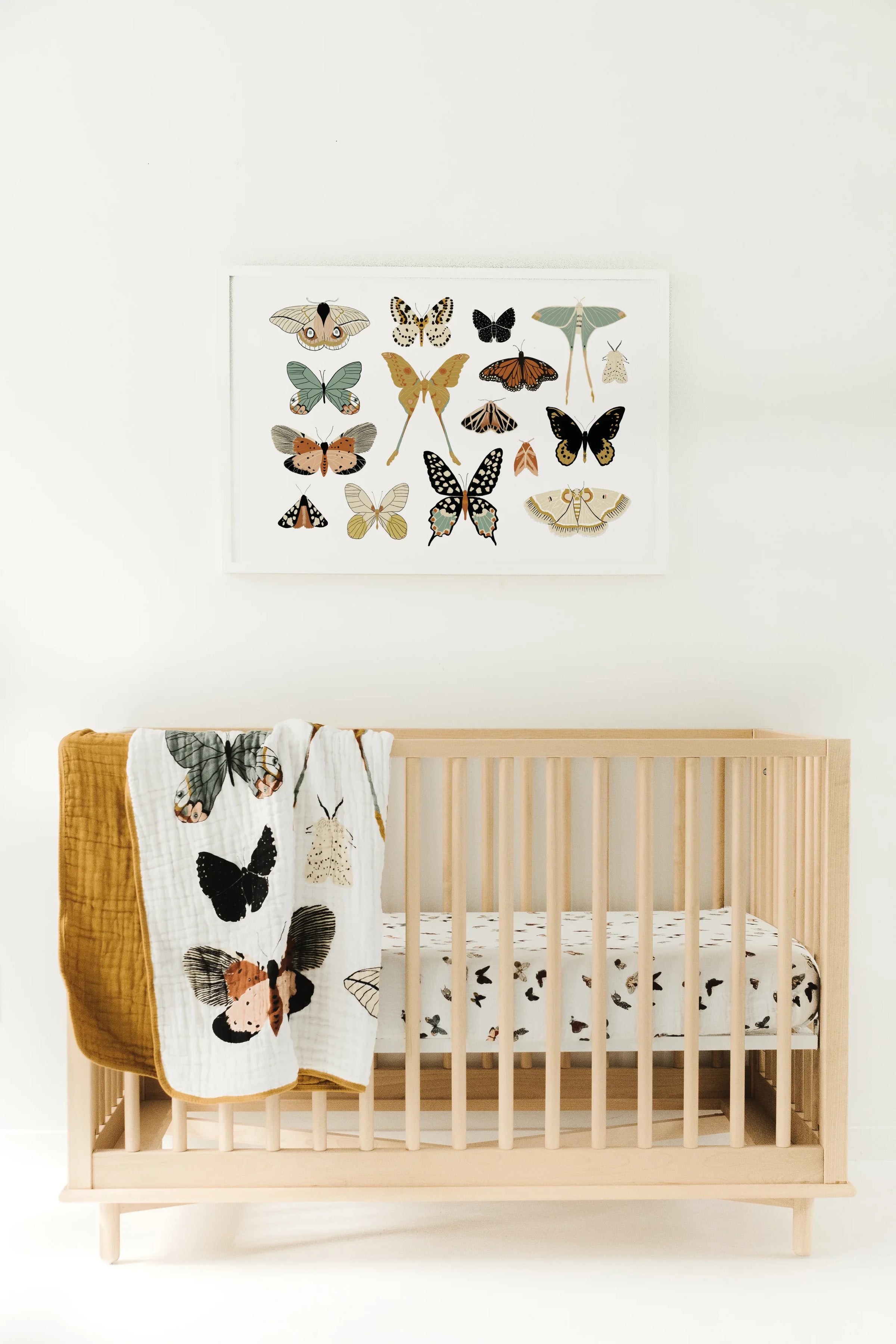 Butterfly Collector Quilt - BIG FRENCHIES