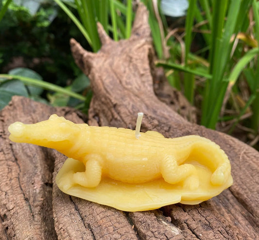 Crocodile Beeswax Candle - BIG FRENCHIES