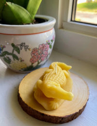 Crocodile Beeswax Candle - BIG FRENCHIES
