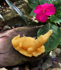 Crocodile Beeswax Candle - BIG FRENCHIES