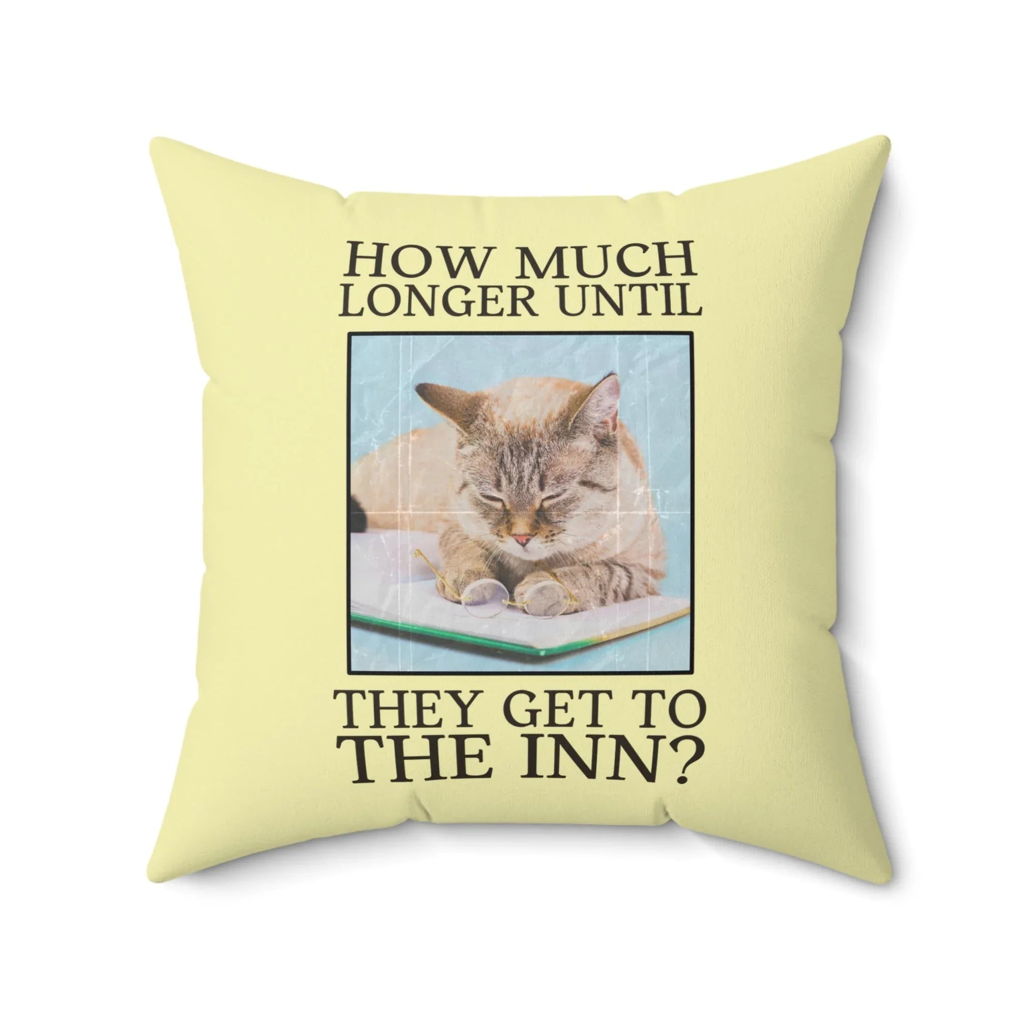 Funny Yellow Pillow for Bookish Cat Mom - BIG FRENCHIES
