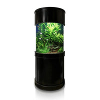 Glass Full Cylinder