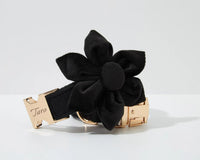 Personalized Black Velvet Classic Set