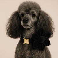 Personalized Black Velvet Classic Set