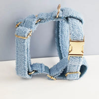 Personalized Blue Teddy Velvet Classic Set
