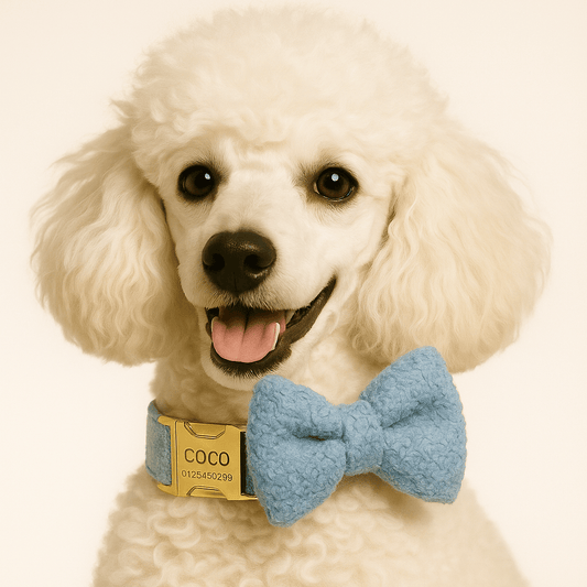 Personalized Blue Teddy Velvet Classic Set
