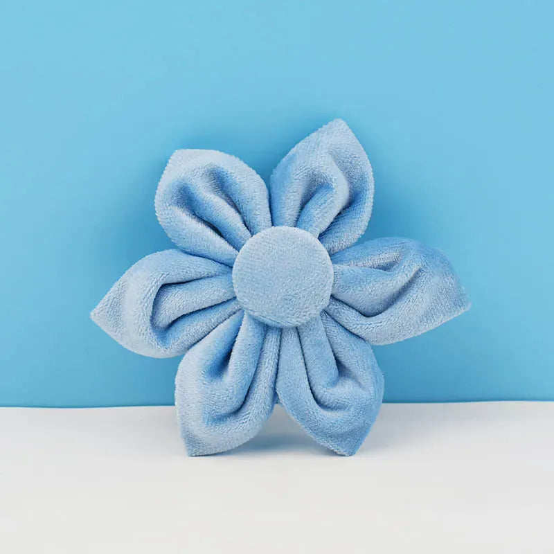 Personalized Blue Velvet Classic Set