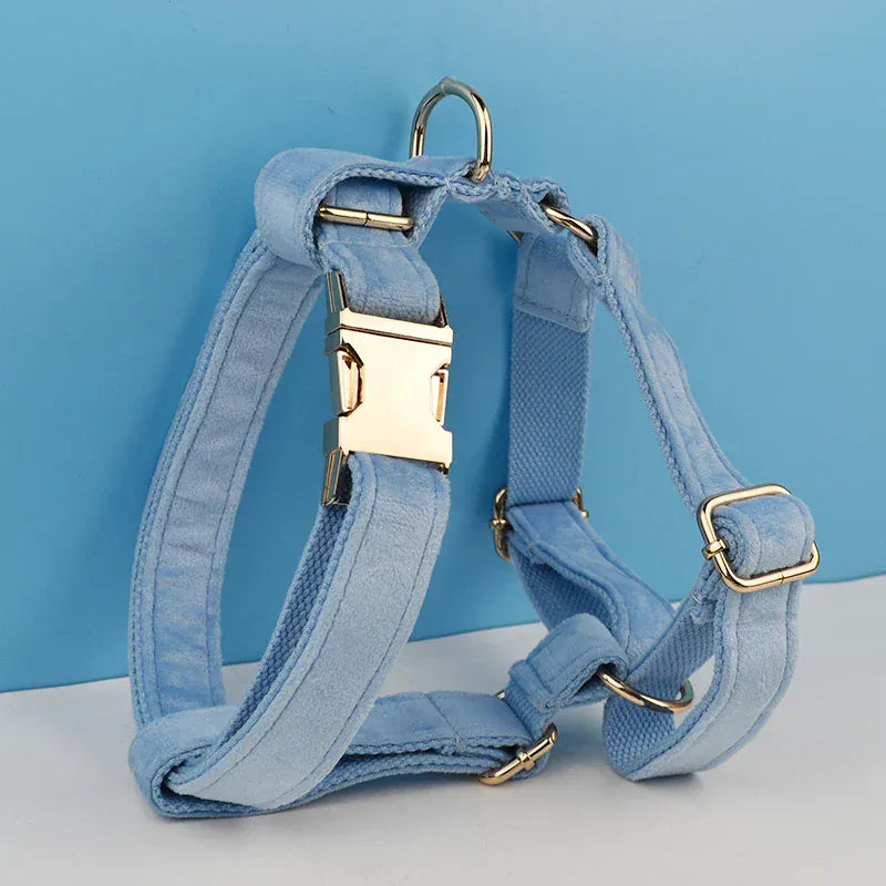 Personalized Blue Velvet Classic Set