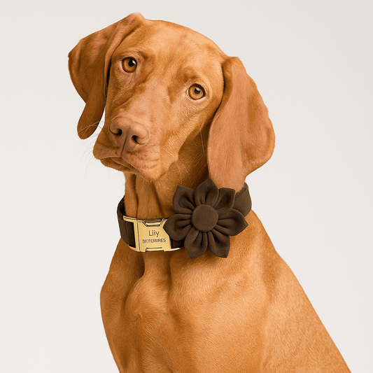 Personalized Dark Brown Velvet Classic Set
