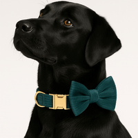 Personalized Dark Green Corduroy Classic Set