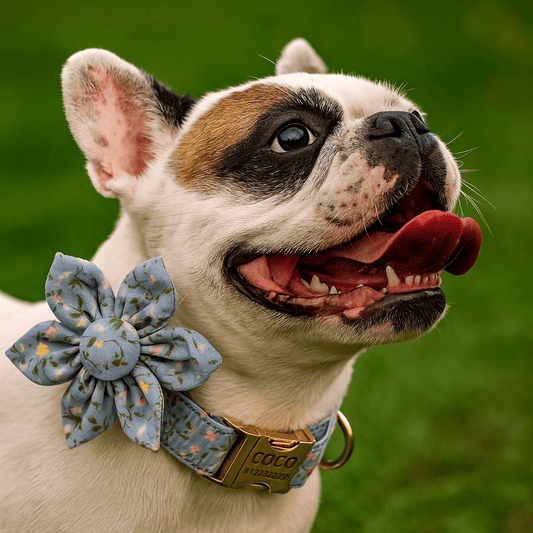 Personalized Dusty Blue Floral Classic Set