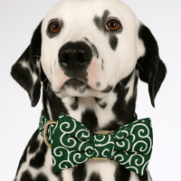 Personalized Emerald Swirl Classic Set