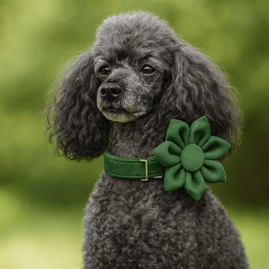 Personalized Forest Green Velvet Classic Set