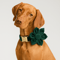 Personalized Green Velvet Classic Set