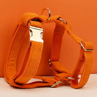 Personalized Orange Corduroy Classic Set