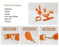 Personalized Orange Velvet Classic Set