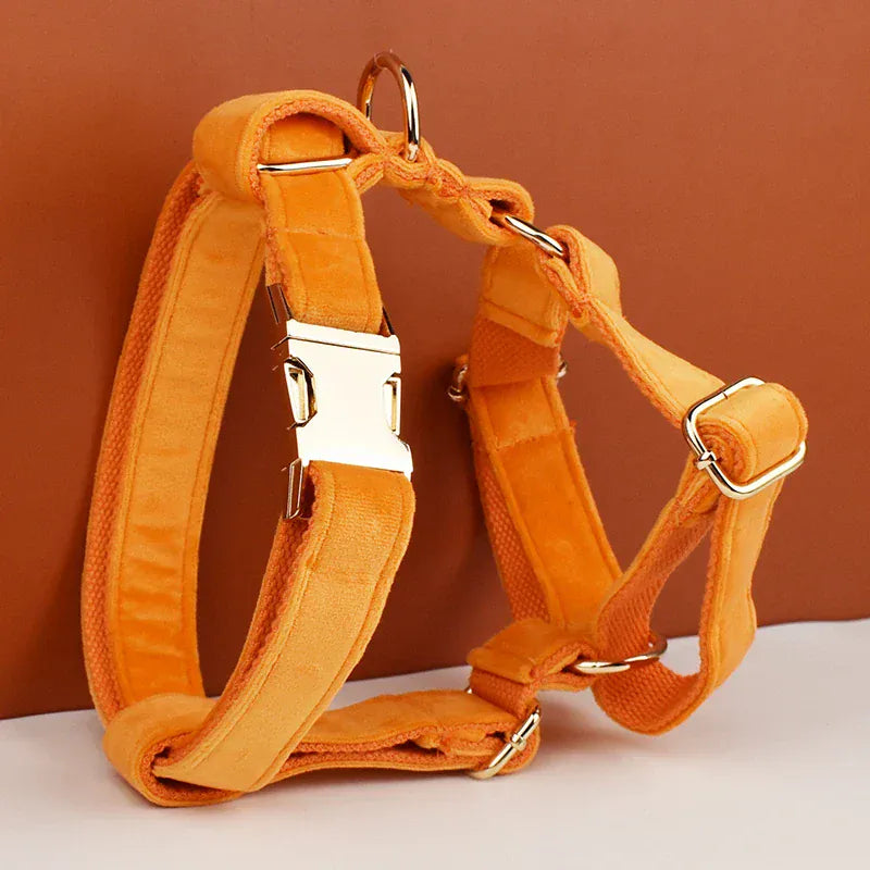 Personalized Orange Velvet Classic Set