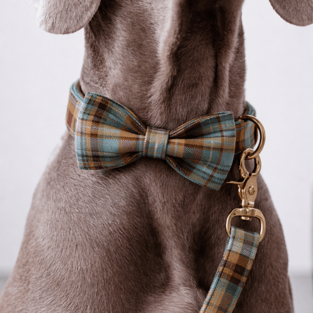 Personalized Autumn Blue Plaid Classic Set