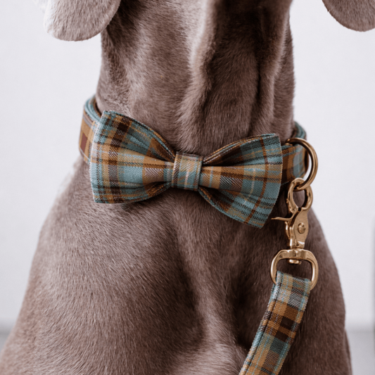 Personalized Autumn Blue Plaid Classic Set