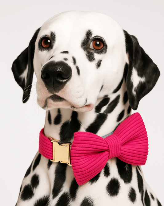 Personalized Red Corduroy Classic Set