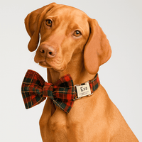 Personalized Red Tartan Christmas Classic Set