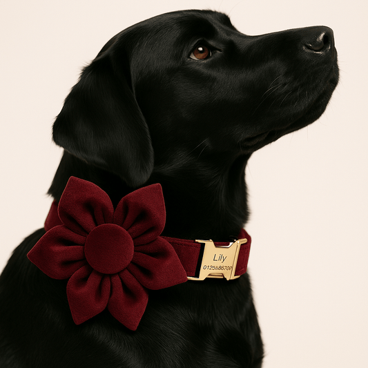 Personalized Red Wine Velvet Classic Set
