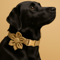 Personalized Shallow Khaki Velvet Classic Set