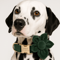 Personalized Velvet Dark Green Classic Set