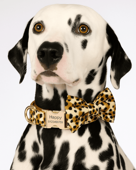 Personalized Velvet Leopard Classic Set