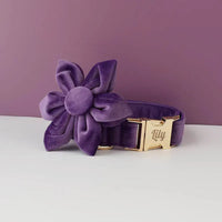 Personalized Velvet Purple Classic Set