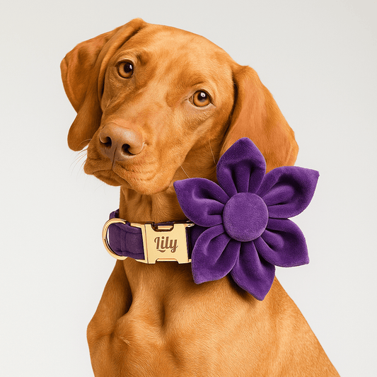 Personalized Velvet Purple Classic Set