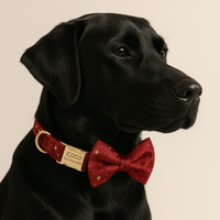 Personalized Velvet Wine Star Classic Set