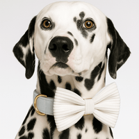 Personalized White Corduroy Classic Set