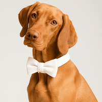 Personalized White Wedding Velvet Classic Set