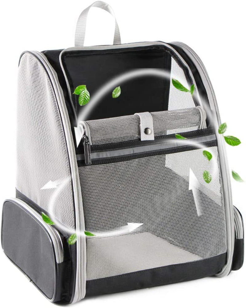 Bubble Backpack Pet Carriers for Cats and Dogs - BIG FRENCHIES