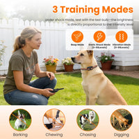 Dog Training Collar with Remote Rechargeable Dog Training Collar IP68 Waterproof with 4 Training Modes 3 Channels for Me