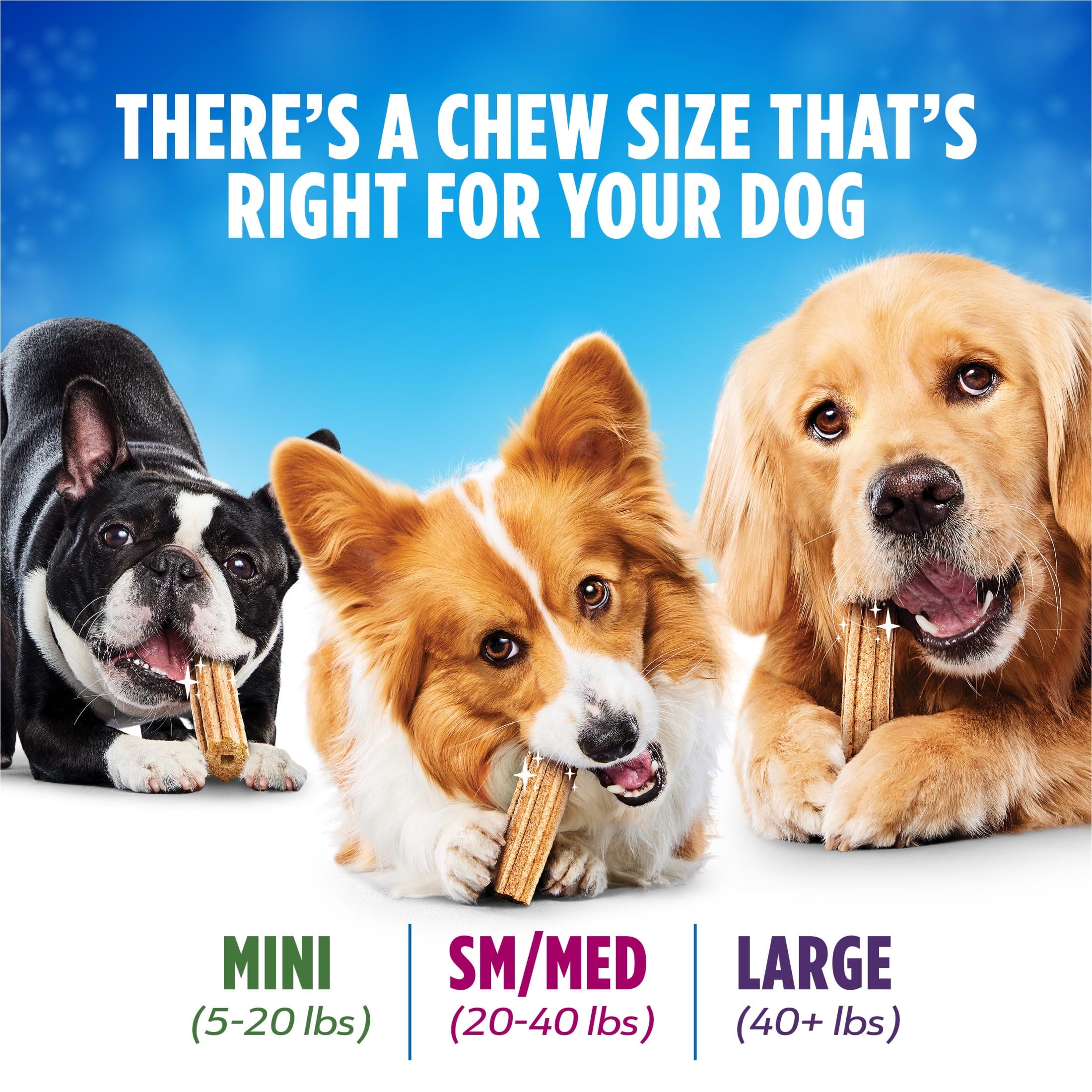 Purina Daily Oral Care Large Dog Treats Dental Chews with Chicken - BIG FRENCHIES