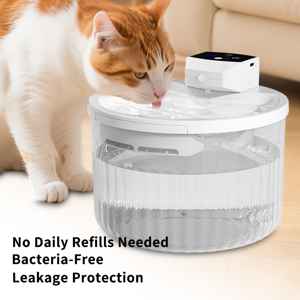 Only Self Pickup---ZWZ Water Feeder
