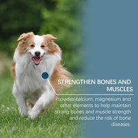 Dog Mineral Supplement Tablets, 80 Chewable Minerals Tablets For Pica, Appetite & Bone Health Support, Non-GMO Human Gra
